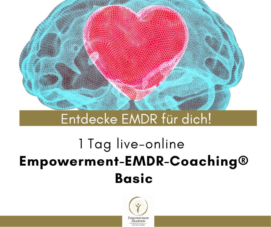 EMDR-Ausbildungen-EmpowermentAkademie3