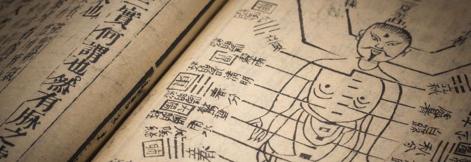 Wenn Klarheit fließt, entsteht Fokus: TCM trifft auf Coaching